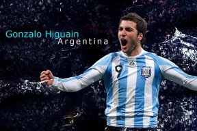 观众志愿者：幕后英雄默默守护比赛，观众服务志愿者的职责